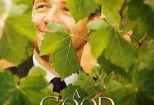 美好的一年.2006.1080p.英语中字-夸克影视