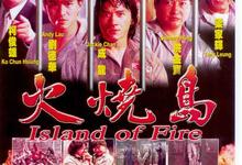 火烧岛.1991.1080p.粤语国语.中字【成龙/刘德华/洪金宝/梁家辉】