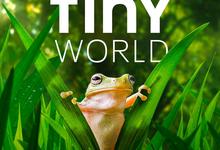 纪录片.小小世界.Tiny.World.1...