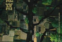 树影迷宫.2025.1080p.国语中字-夸克影视