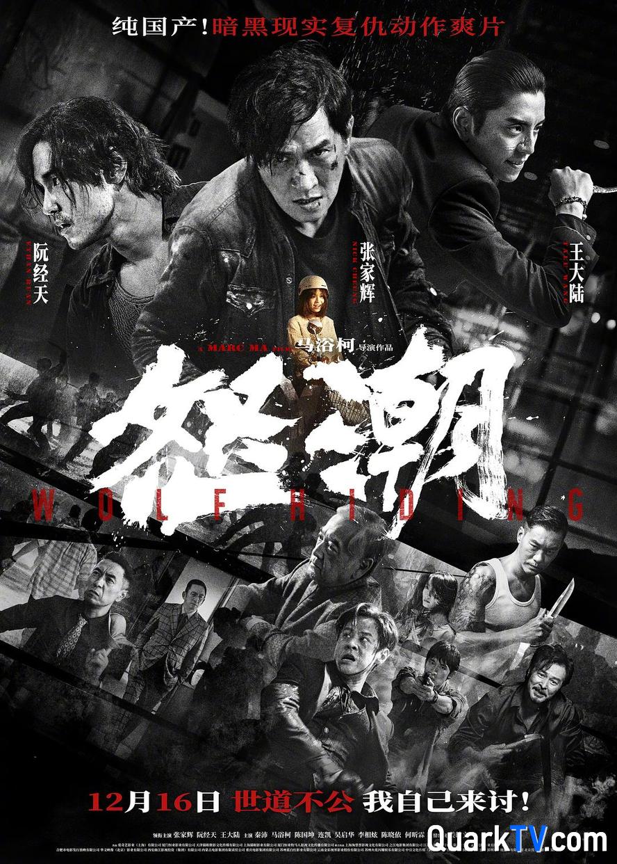 怒潮.2023.1080p.国语中字【张家辉/阮经天/秦沛】