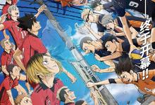 2024高分动画《排球少年!!垃圾场决战》1080p.国语日语.中字-夸克影视