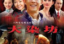 大染坊.2003.全24集.1080P.国语中字-夸克影视