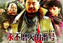 永不磨灭的番号(2011).HD1080P.4K.全34集-夸克影视